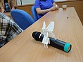 DSC03337.JPG