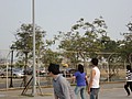 DSC03451.JPG
