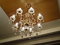 DSC08063.JPG