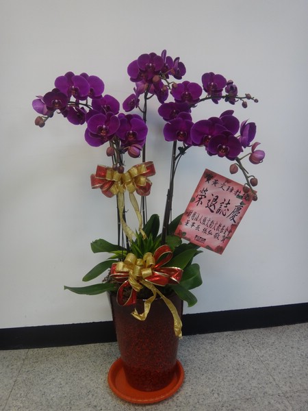 DSC09802.JPG