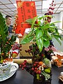 DSC03452.JPG