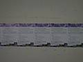 DSC03475.JPG