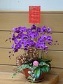 DSC03512.JPG