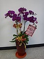 DSC09802.JPG