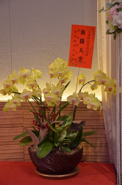DSC_0438.JPG