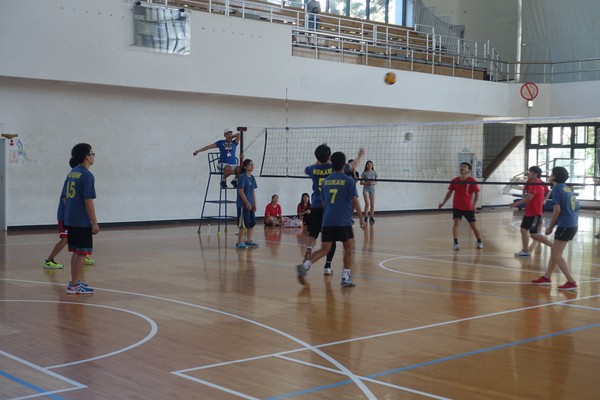 DSC02082.JPG