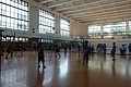 DSC02113.JPG