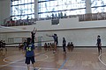 DSC02194.JPG