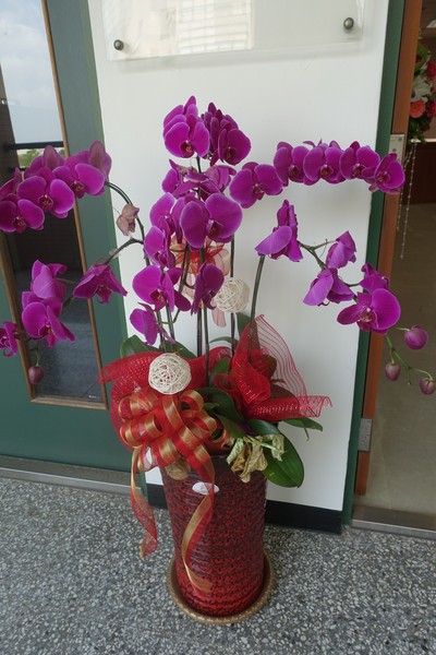 DSC02645-1.jpg