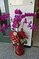 DSC02645-1.jpg