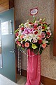 DSC02647-1.jpg