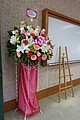 DSC02648-1.jpg