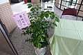 DSC02680.JPG