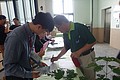 DSC02733.JPG