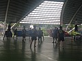 IMG_4544.JPG