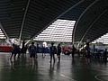 IMG_4546.JPG