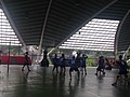 IMG_4555.JPG