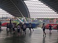 IMG_4557.JPG