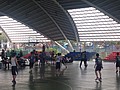 IMG_4566.JPG