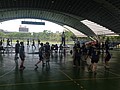 IMG_4586.JPG