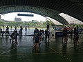 IMG_4590.JPG