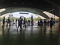 IMG_4597.JPG