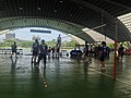 IMG_4599.JPG
