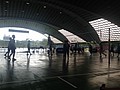 IMG_4613.JPG