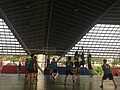 IMG_4626.JPG