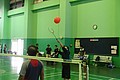 DSC05850.JPG