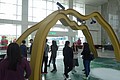 DSC07708.JPG