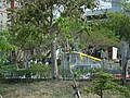 DSC03005.JPG