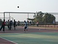 P1020692.JPG