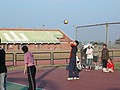 P1020696.JPG