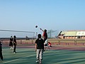 P1020699.JPG