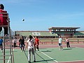 P1020772.JPG