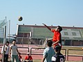 P1020823.JPG