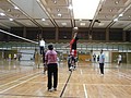 P1020885.JPG