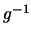 $g^{-1}$
