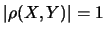 $\vert\rho(X,Y)\vert=1$