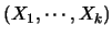 $(X_{1},\cdots,X_{k})$