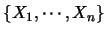 $\{X_1,\cdots,X_n\}$