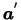 $\mbox{\mathversion{bold}{$a$}}^{'}$
