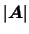 $\vert\mbox{\boldmath {$A$}}\vert$