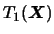 $T_1(\mbox{\mathversion{bold}{$X$}})$