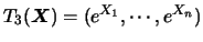 $T_3(\mbox{\mathversion{bold}{$X$}})=(e^{X_1},\cdots,e^{X_n})$