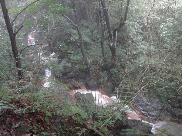 DSC01268.JPG
