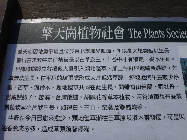 DSC01280.JPG