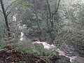 DSC01268.JPG