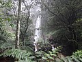 DSC01269.JPG